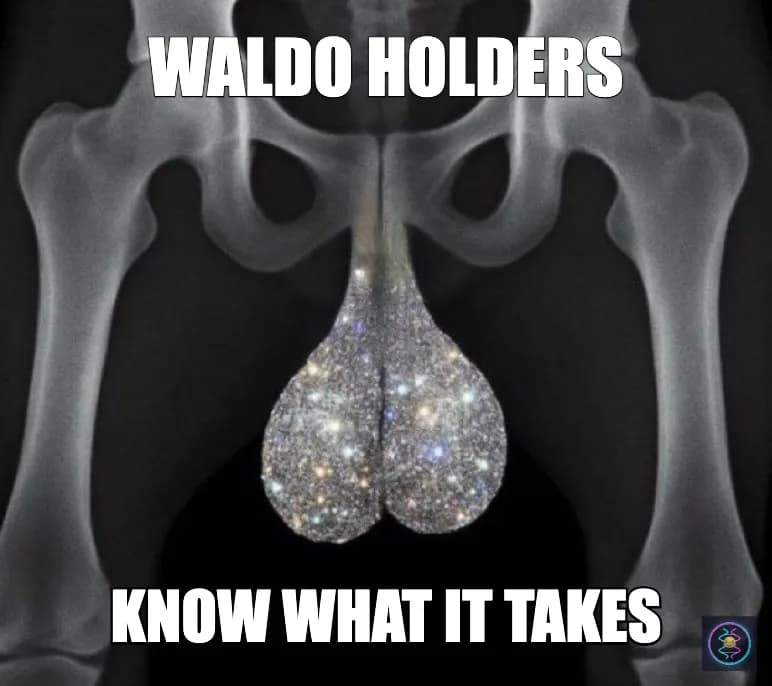 @waldocoin