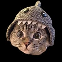 Shark Cat (SC)
