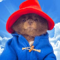 Bertram The Pomeranian (BERT)