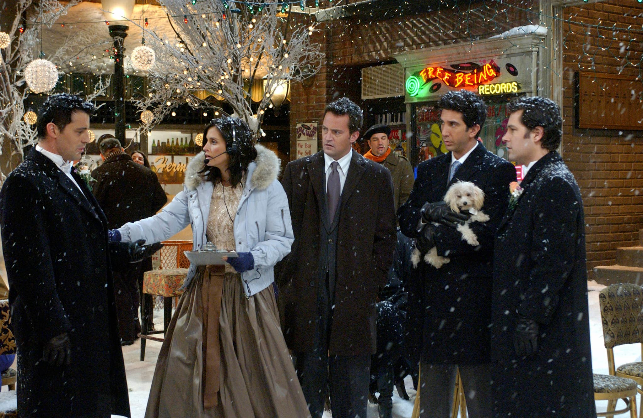 The One with Phoebe's Wedding